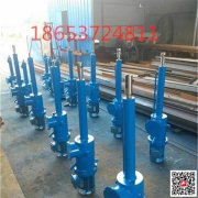 电动液压推杆 动作灵敏 支持定制 向上金品推杆